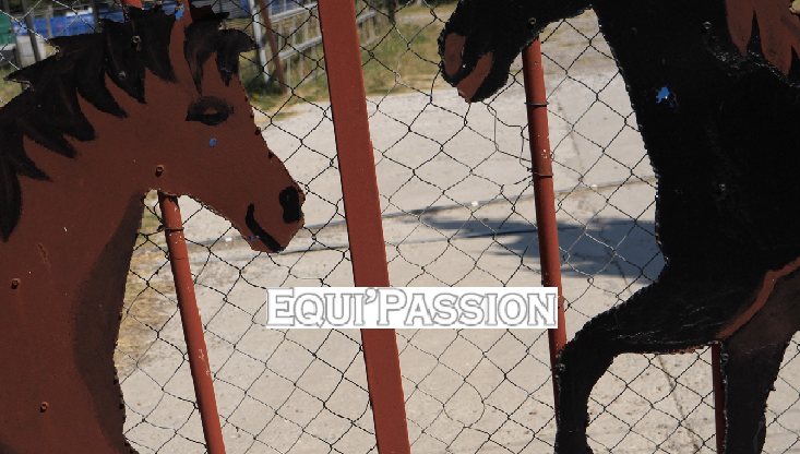 epquipassion