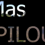 mas pilou