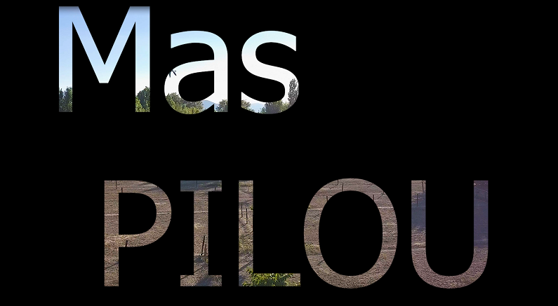 mas pilou