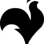 Coq-seul-noir-e1572269864775