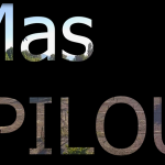 mas pilou